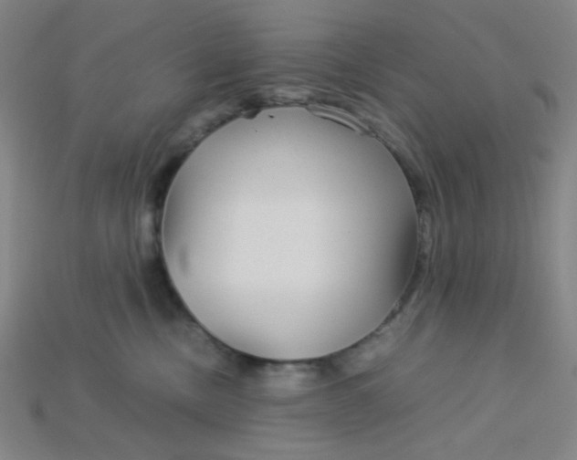 X0000115210378200911121909