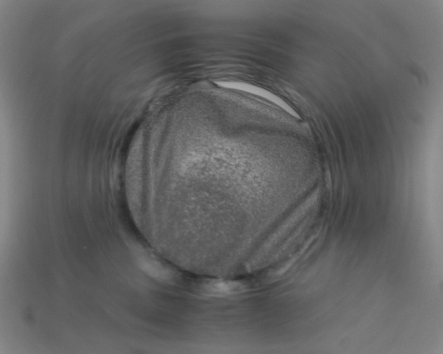 X0000115210379200911121909