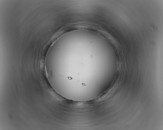 X0000115210382200911121909