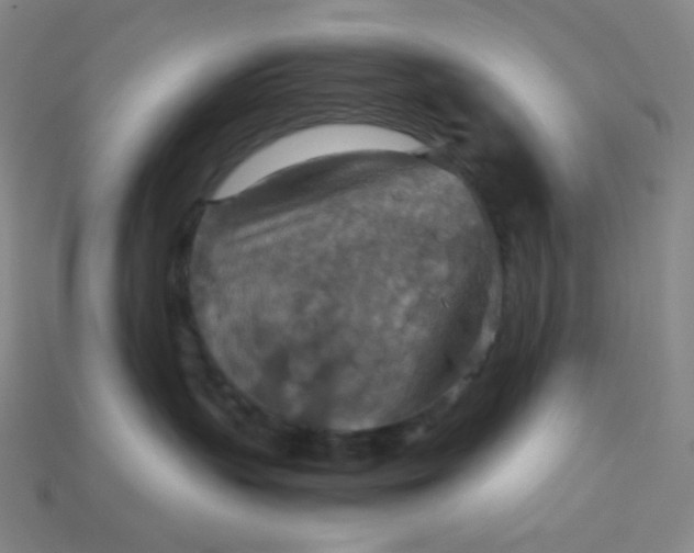 X0000115210383200911121909