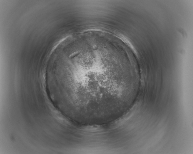 X0000115210386200911121909
