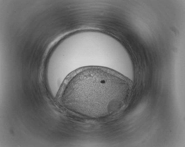 X0000115210388200911121908
