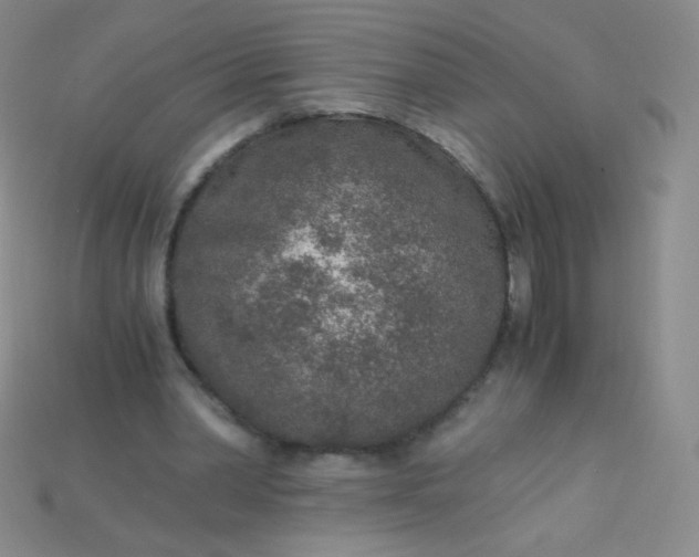 X0000115210390200911121908