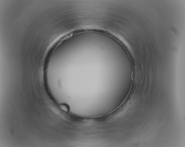 X0000115210391200911121908