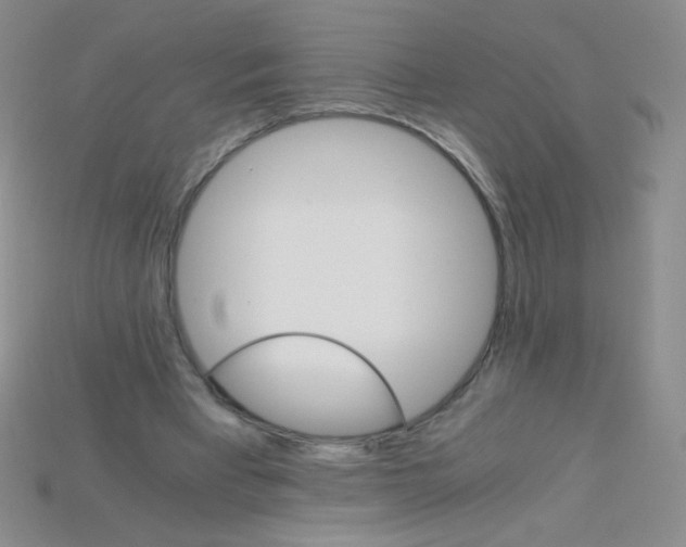 X0000115210393200911121908
