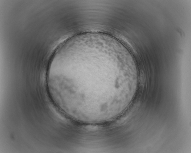 X0000115210394200911121908