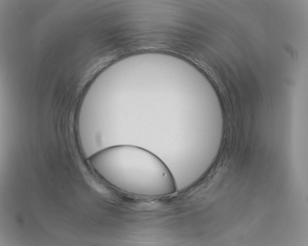 X0000115210397200911121908