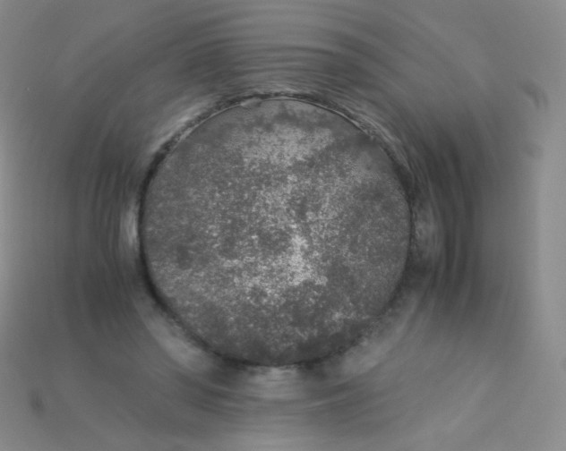 X0000115210398200911121908