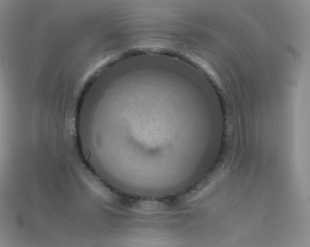 X0000115210399200911121908
