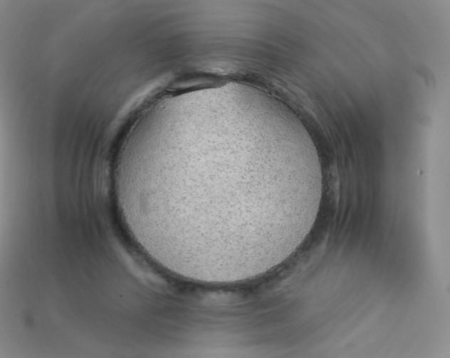 X0000115210400200911121908