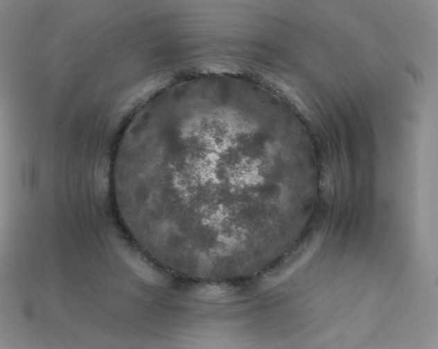 X0000115210402200911121908