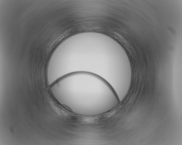 X0000115210405200911121908