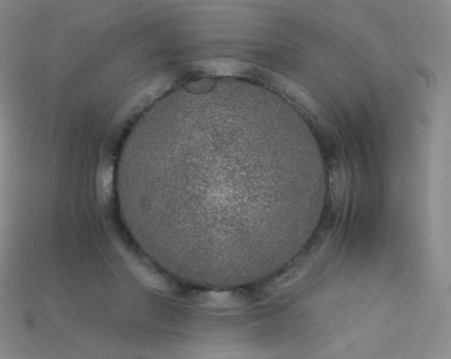 X0000115210406200911121908