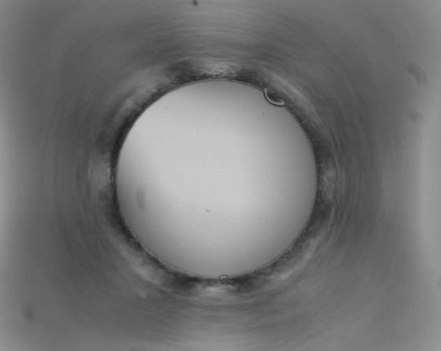 X0000115210407200911121908