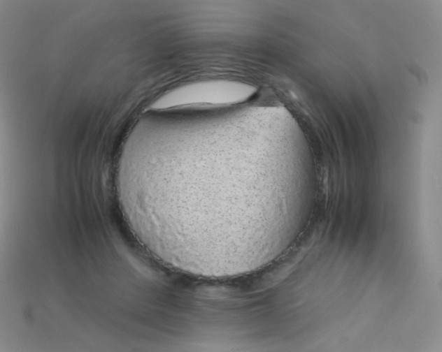 X0000115210408200911121908
