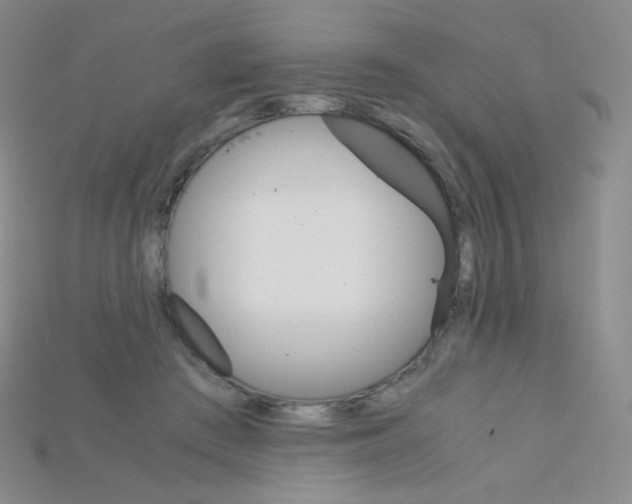 X0000115210409200911121908