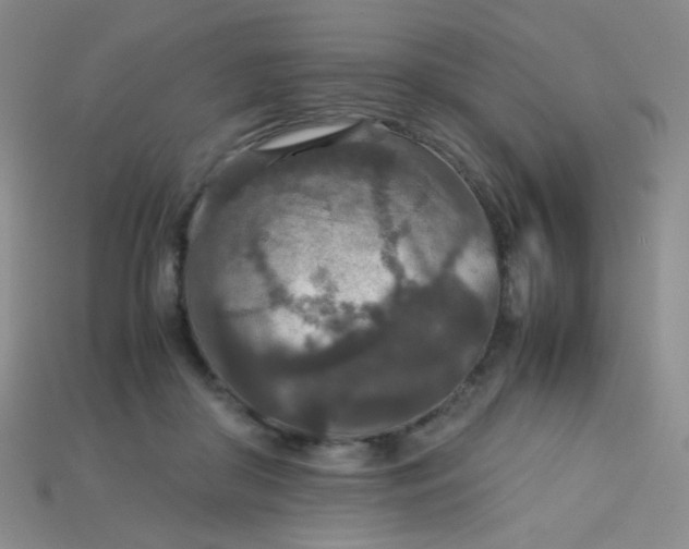 X0000115210410200911121908