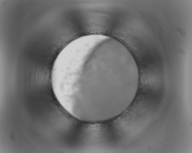 X0000115210411200911121908