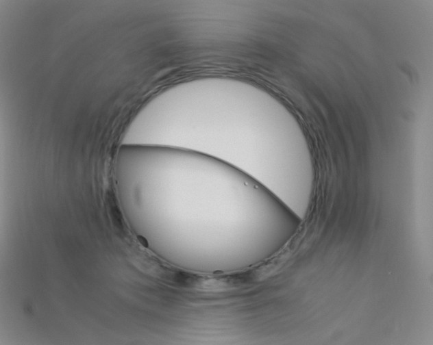 X0000115210413200911121908