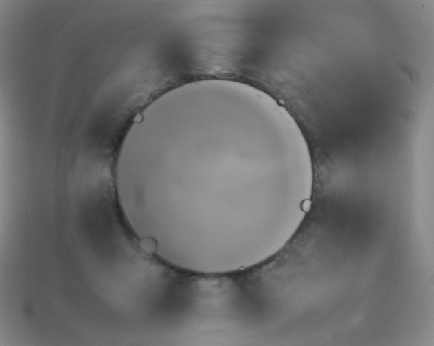 X0000115210415200911121908