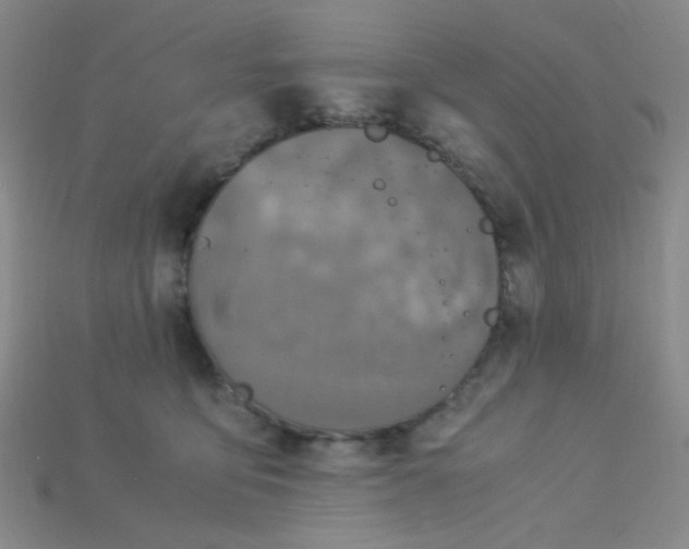 X0000115210419200911121908