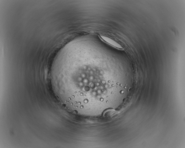 X0000115210420200911121908