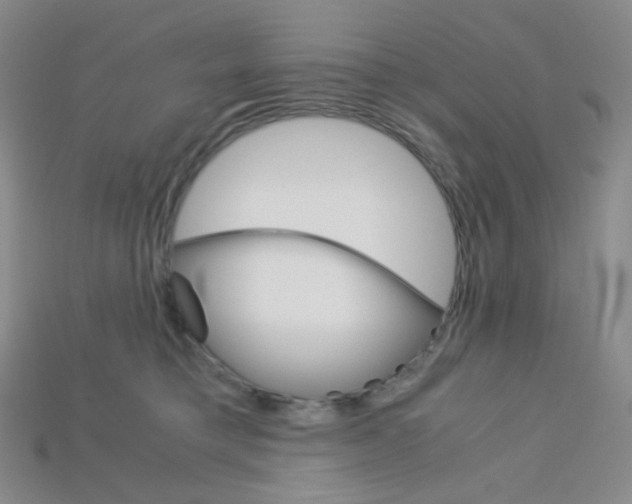 X0000115210421200911121908