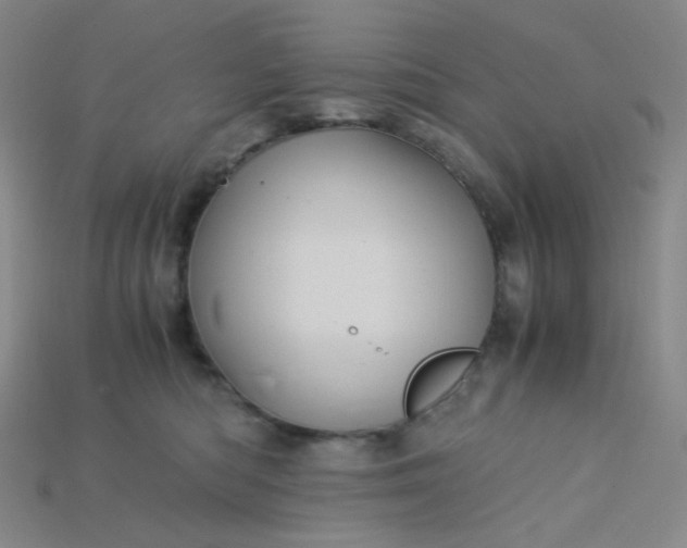 X0000115210422200911121908