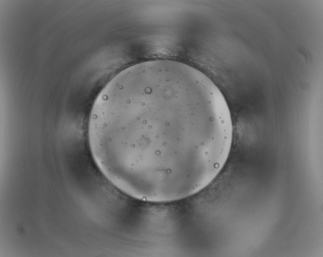 X0000115210423200911121908