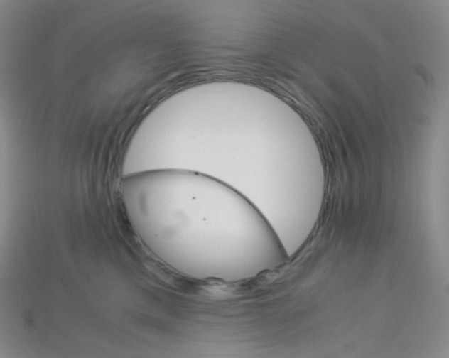 X0000115210425200911121908