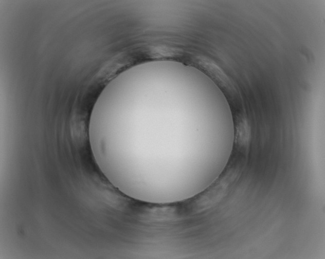 X0000115210426200911121908