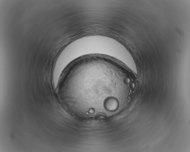 X0000115210428200911121908