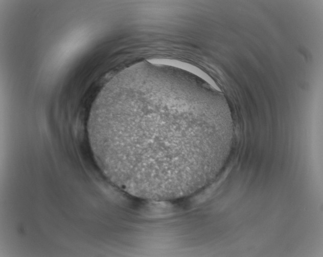 X0000115210429200911121908