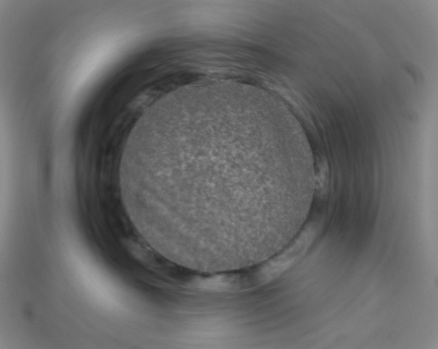 X0000115210430200911121908