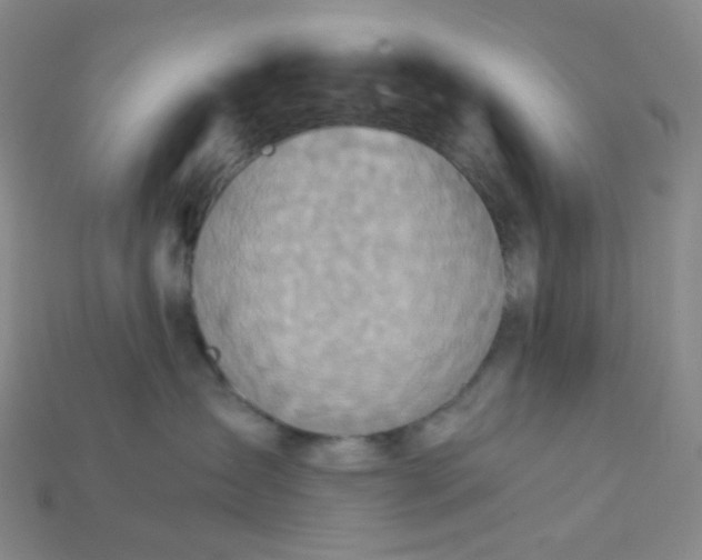 X0000115210431200911121908