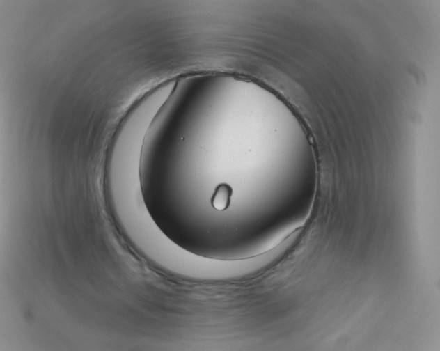 X0000115210434200911121907