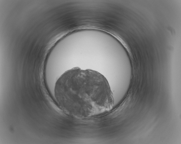 X0000115210437200911121907