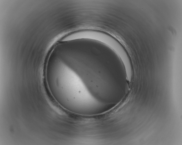 X0000115210438200911121907