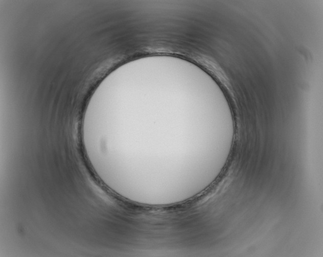 X0000115210441200911121907