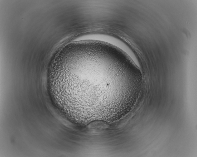 X0000115210442200911121907