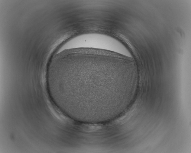 X0000115210443200911121907