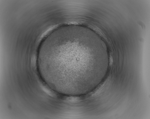 X0000115210444200911121907