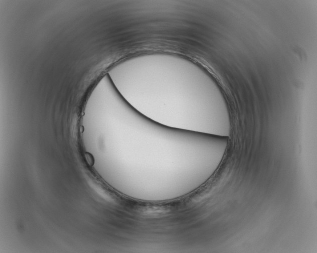 X0000115210445200911121907