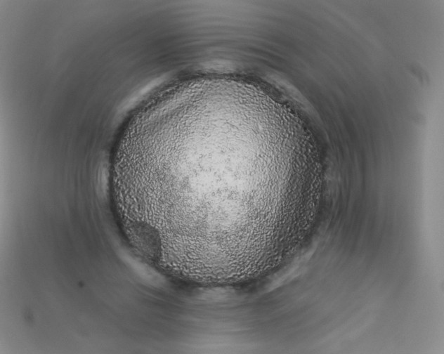 X0000115210446200911121907