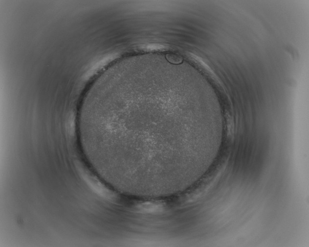 X0000115210447200911121907