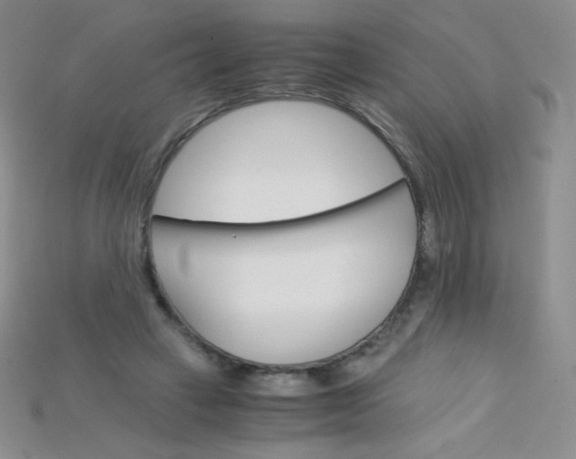 X0000115210449200911121908