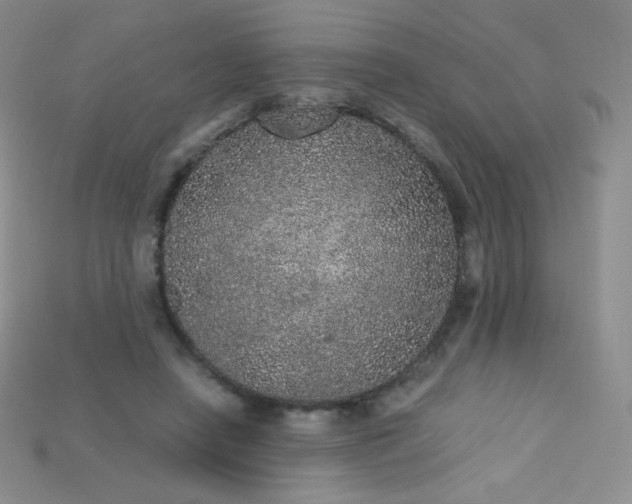 X0000115210450200911121908