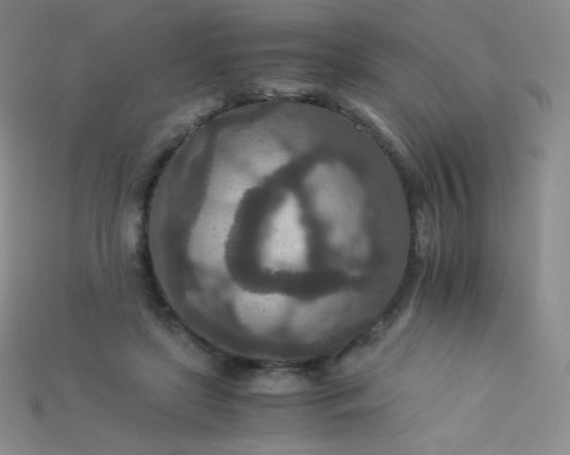 X0000115210451200911121908