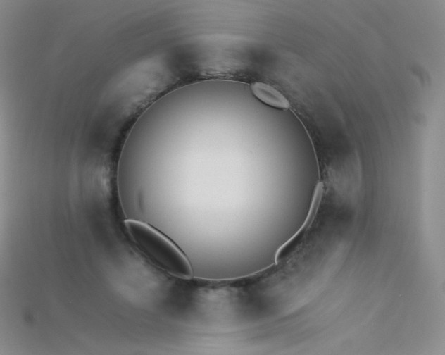 X0000115210452200911121908