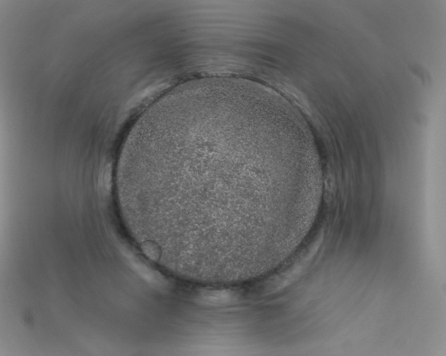 X0000115210454200911121908